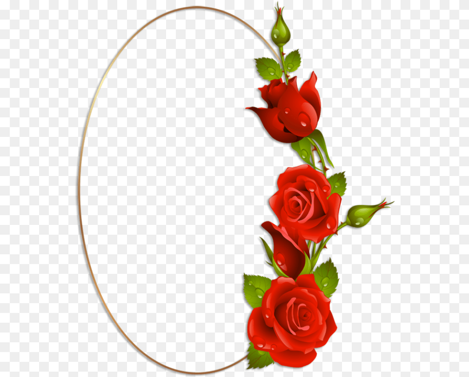 Oval Frame Rose Flower Borders For Paper Love Kiss Red Rose Photo Hd, Flower Arrangement, Plant, Flower Bouquet, Pattern Png Image