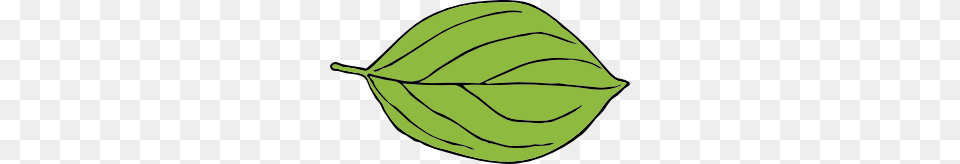 Oval Leaf Clip Art, Plant, Clothing, Hardhat, Helmet Png