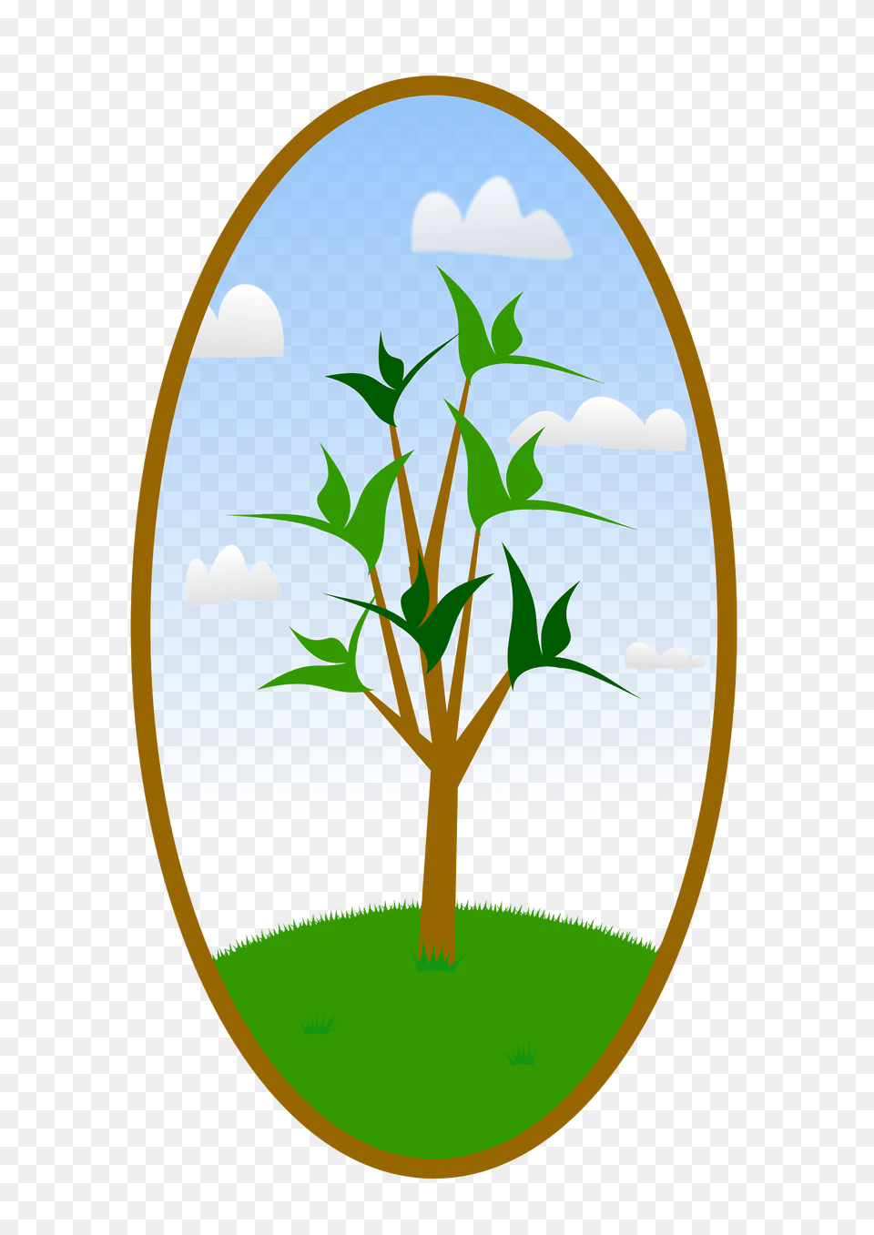 Oval Tree Landscape Clipart, Leaf, Plant, Grass, Outdoors Png