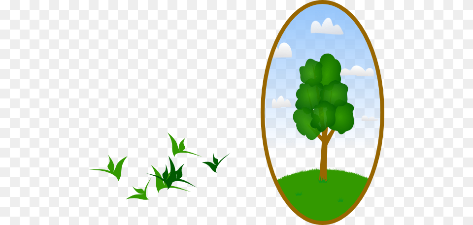 Oval Tree Landscape Clipart For Web, Green, Leaf, Plant, Food Png