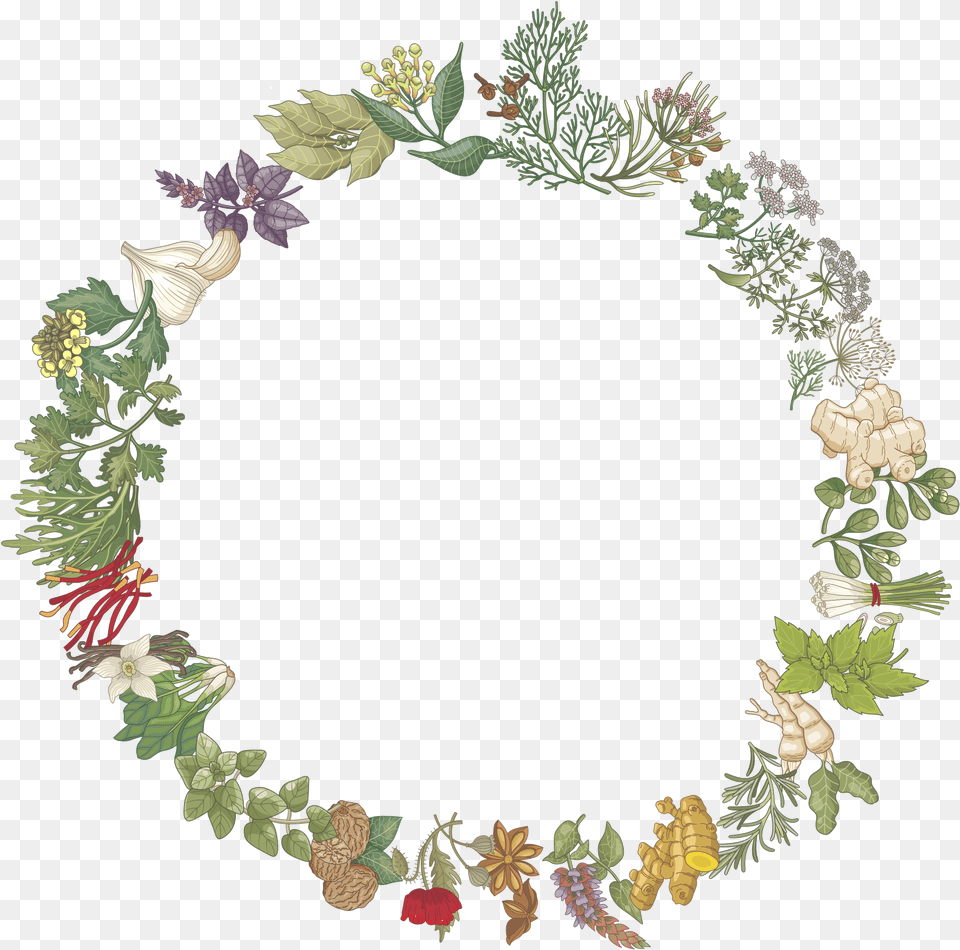 Oval Vintage Frame Clip Art, Plant, Wreath Free Transparent Png