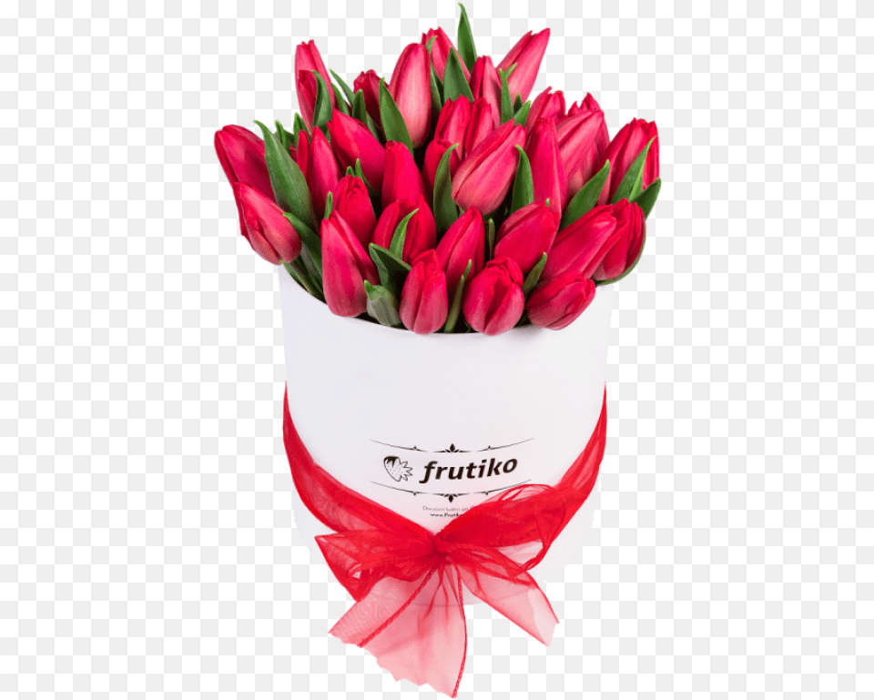 Oval White Box With Fresh Red Tulips Tulips In The Box, Flower, Flower Arrangement, Flower Bouquet, Plant Free Png