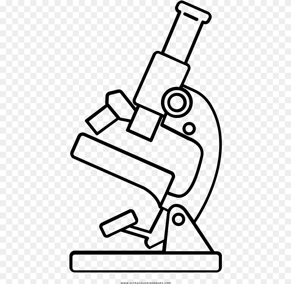 Ovaries Drawing Microscope Microscope Drawing, Gray Free Png Download