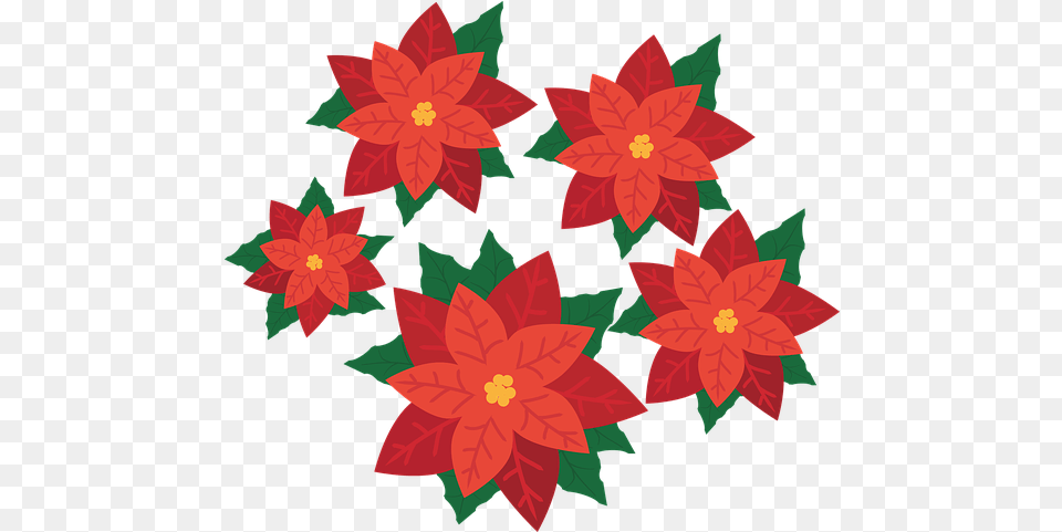 Over 30 Free Poinsettia Vectors Clipart Poinsettia Flowers, Art, Dahlia, Floral Design, Flower Png