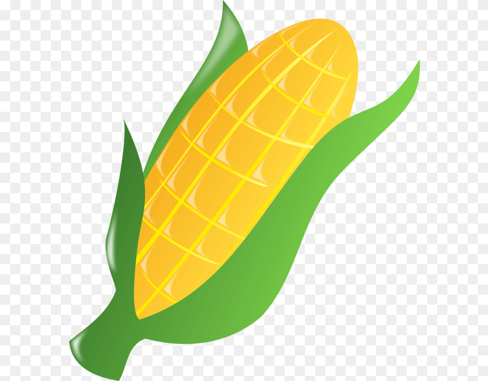 Over Corn On The Cob Clipart Cliparts Corn On The Cob, Food, Grain, Plant, Produce Png Image