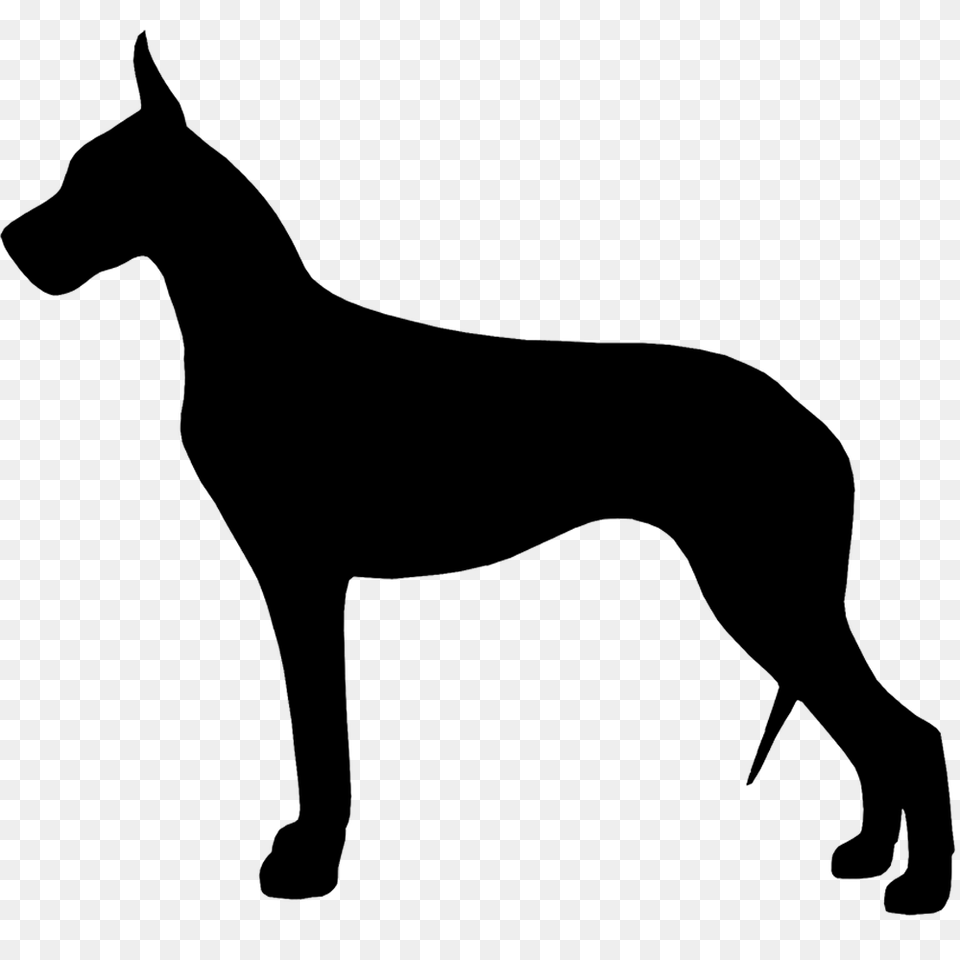 Over Great Dane Vector Cliparts Great Dane Vector, Silhouette, Stencil, Animal, Canine Png
