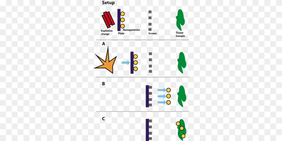 Over The Entire Time Interval From When The Explosion Gene Gun Gold Nanoparticles Free Transparent Png