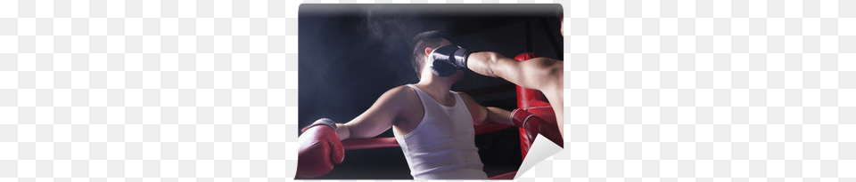 Over The Shoulder View Of Male Boxer Throwing A Knockout Over The Shoulder Punch, Adult, Female, Person, Woman Free Png