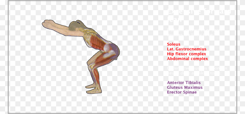 Overhead Squat Forward Lean, Acrobatic, Athlete, Gymnast, Gymnastics Png
