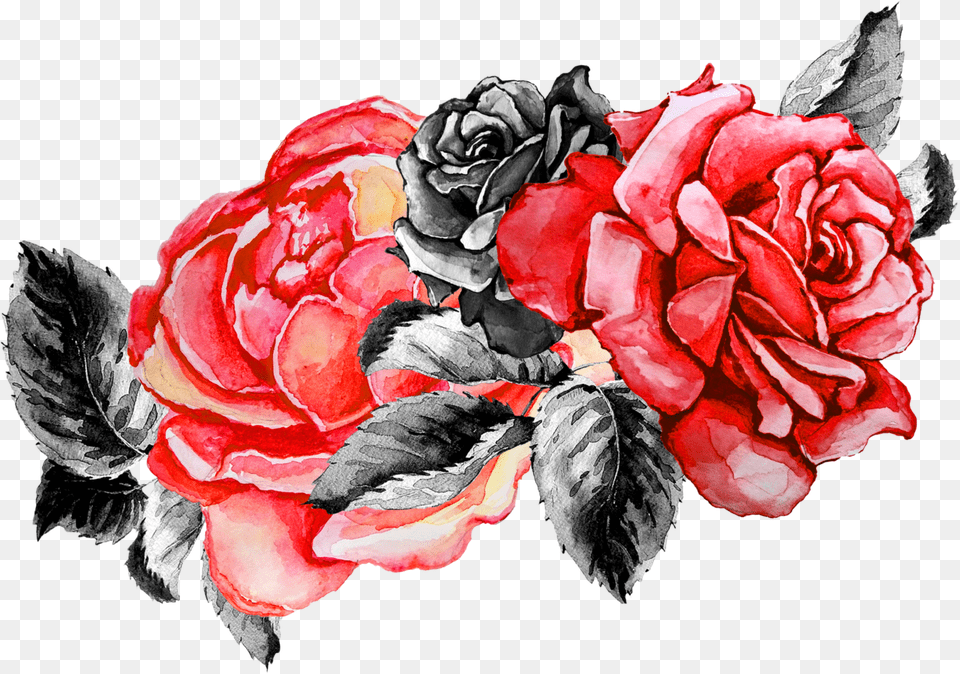 Overlay And Image Red Flower Render Picsart, Plant, Rose, Art Free Png Download