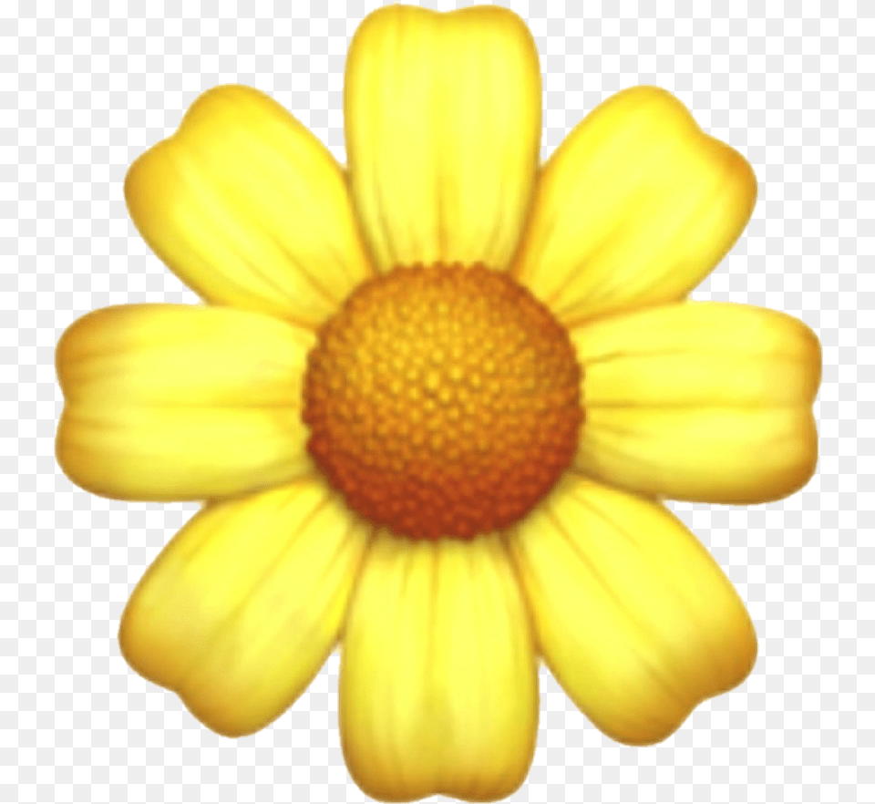Overlay And Template Iphone Flower Emoji, Daisy, Petal, Plant, Anemone Png Image
