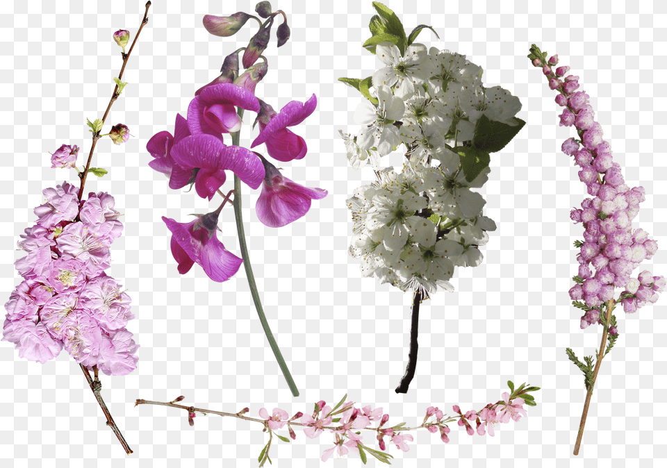 Overlay Flowers Photoshop Free Png Download