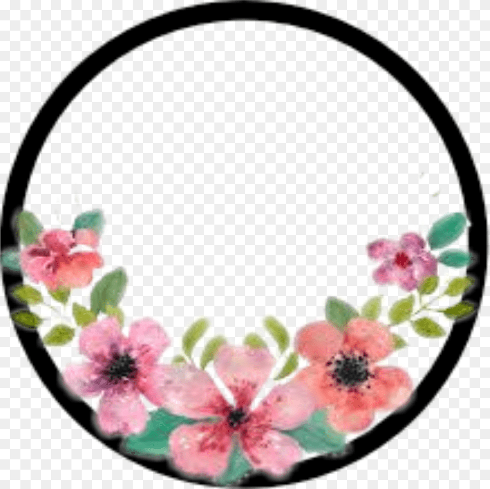 Overlay Overlays Flower Flowers Stickers, Plant, Accessories, Petal, Art Png Image