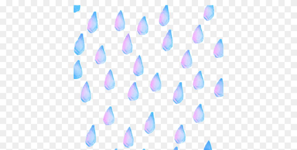 Overlay Stickers Rain Raindrops Waterdrops Waterfreetoe, Flower, Petal, Plant, Person Png Image