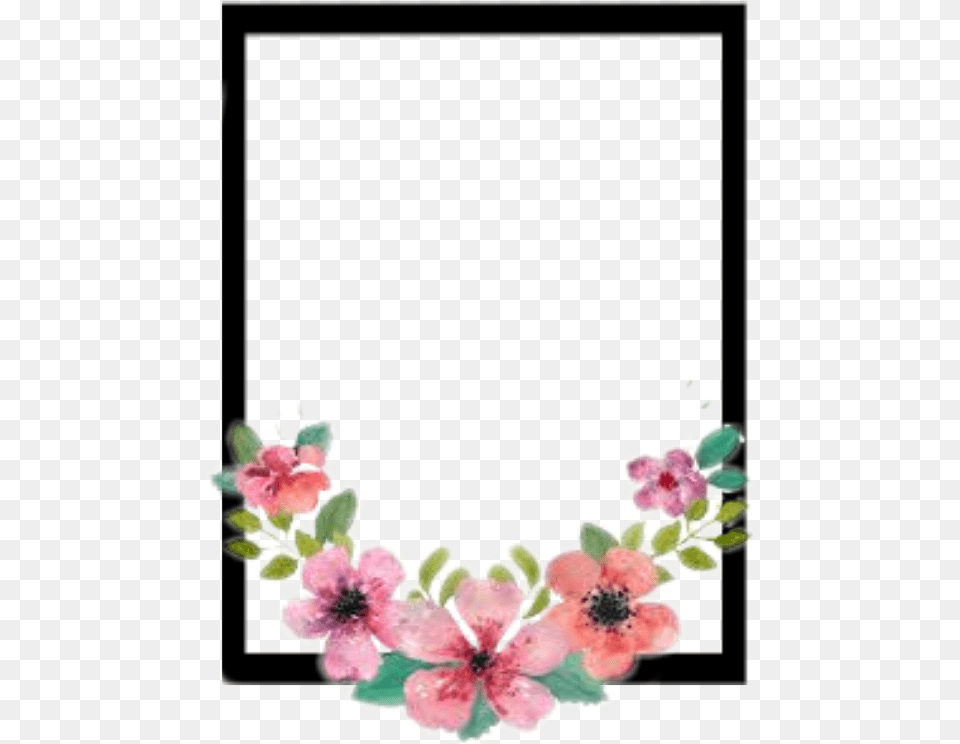 Overlay Stickers Sticker Flower Flowers Watercolour Watercolor Floral Wreath Background, Plant, Art, Floral Design, Graphics Free Png