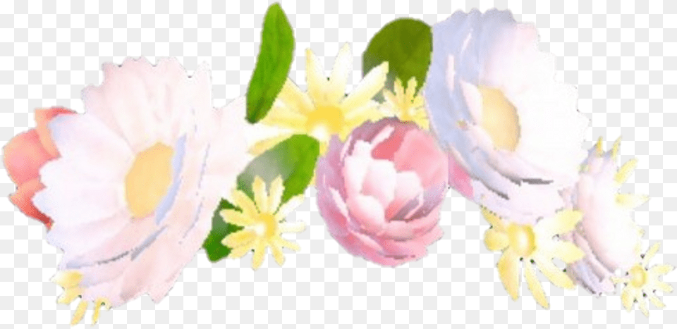 Overlay Tumblr Corona Crown Pink Rosa Snapchat Flower Crown, Dahlia, Daisy, Petal, Plant Png