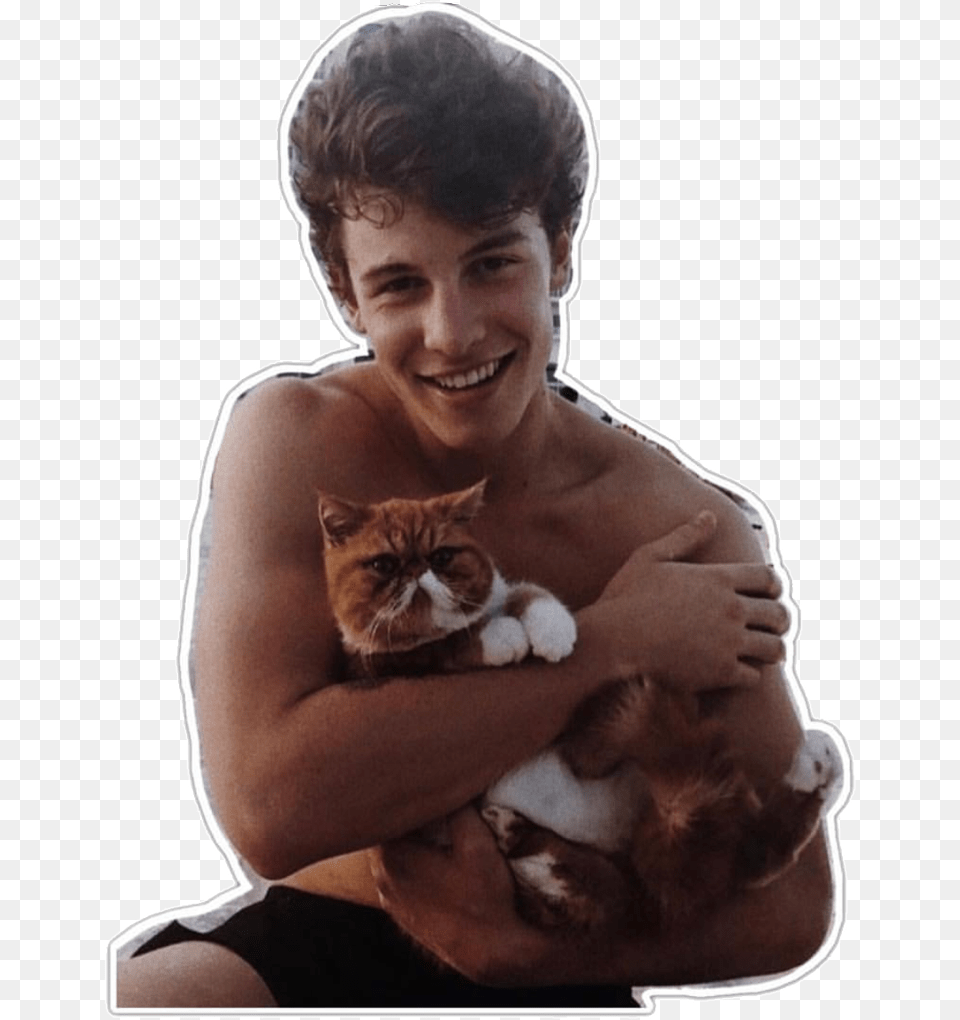 Overlays Complex Singers People Overlay Shawn Mendes Holding A Cat, Portrait, Photography, Face, Person Png