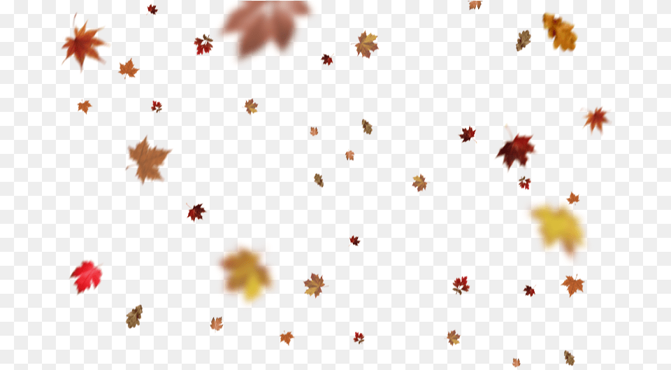 Overlays Folhas, Leaf, Plant, Tree, Maple Free Transparent Png