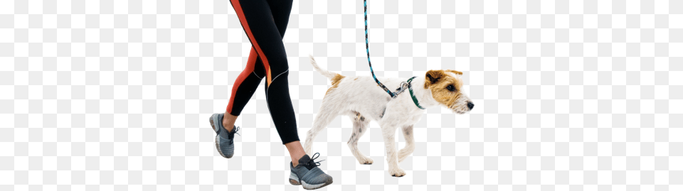 Overnight Care Fairytails Pet Sitting Dog Walking San Antonio, Accessories, Strap, Person, Woman Png