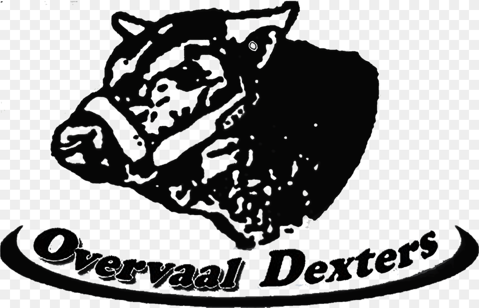 Overvaal Dexter Klub Veiling Illustration, Animal, Mammal, Pig, Blackboard Free Transparent Png