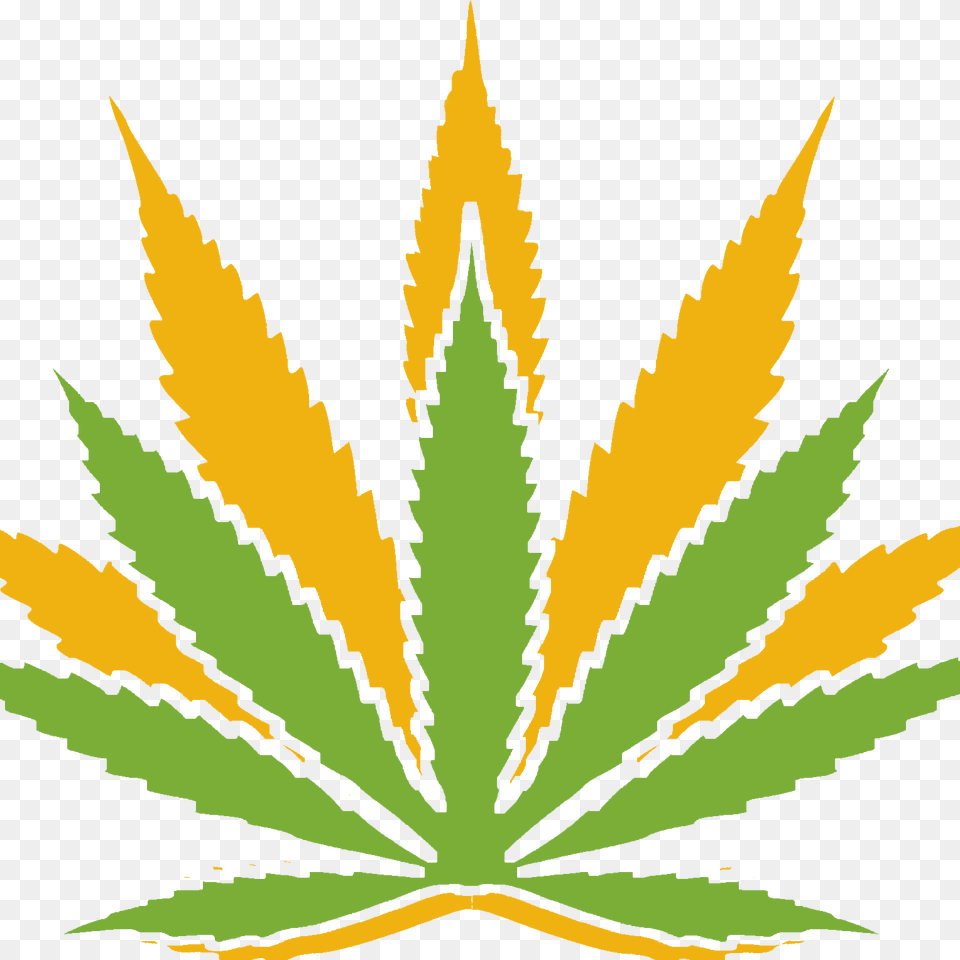 Overview Of Medical Marijuana Nature Med, Leaf, Plant, Weed Png