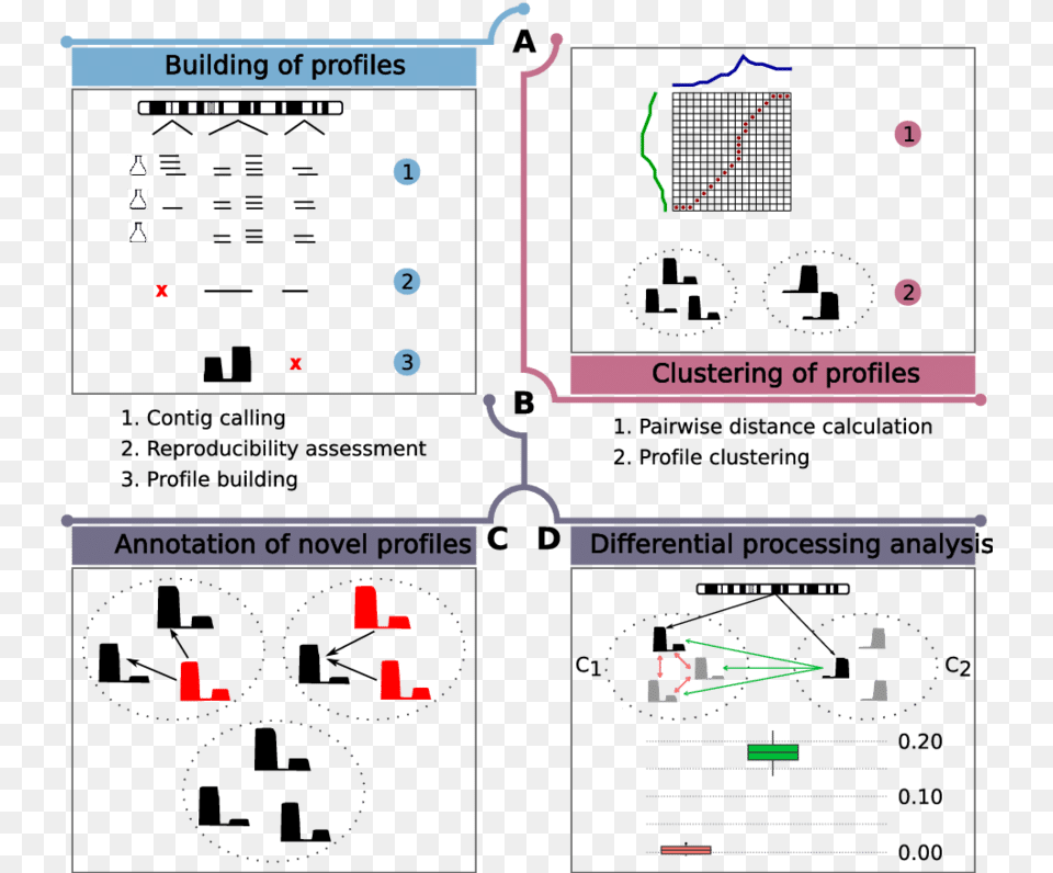 Overview Of Serpent Genome, Cad Diagram, Diagram Png Image