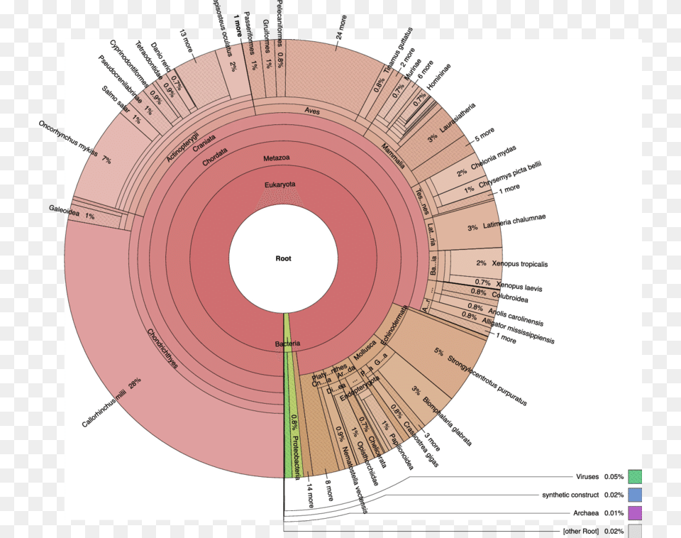 Overview Of Taxonomy Of Whale Shark Protein Best Matches Krona Metagenome, Disk, Diagram Png Image