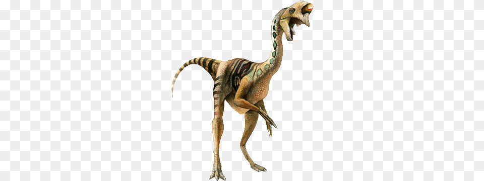 Oviraptor Background, Animal, Dinosaur, Reptile, T-rex Png Image