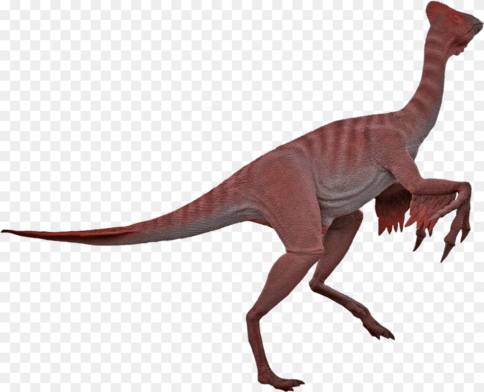 Oviraptor Dinosaurs Moab Giants, Animal, Dinosaur, Reptile, T-rex Png