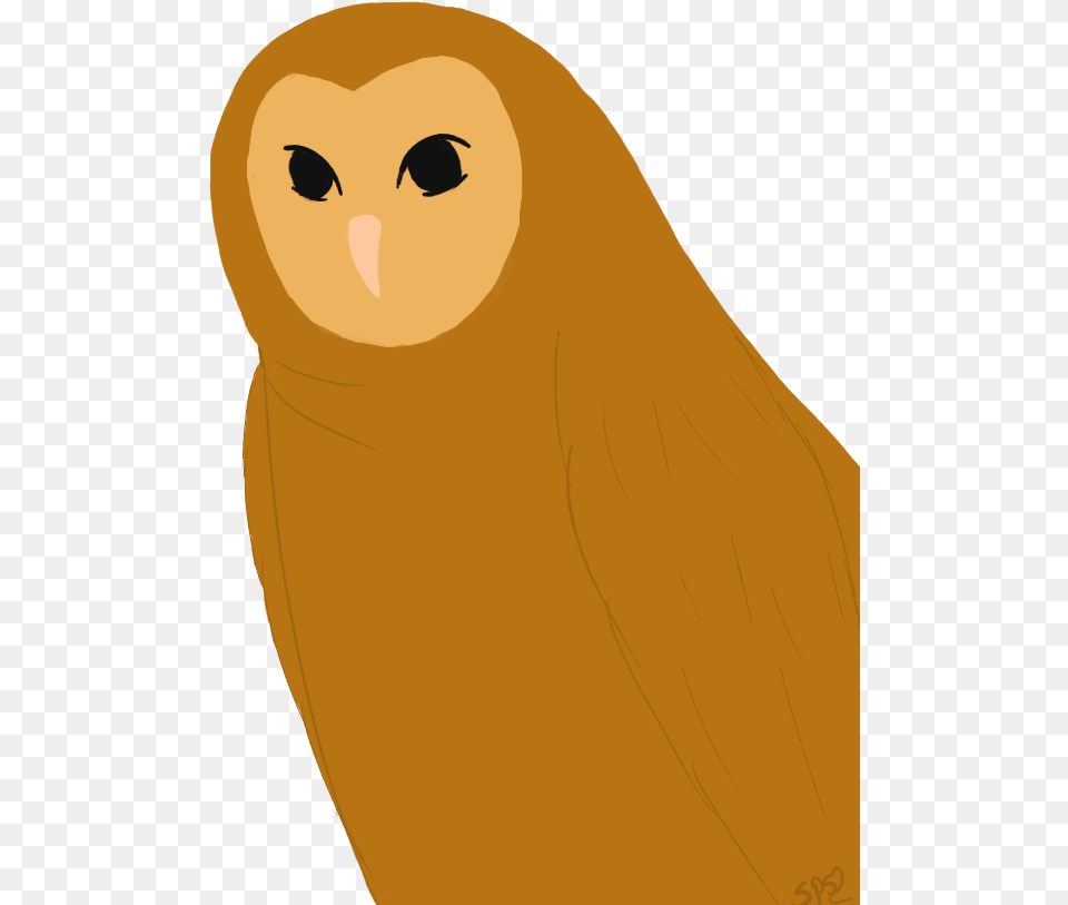 Ovo Owl Portable Network Graphics, Animal, Bird, Adult, Female Png