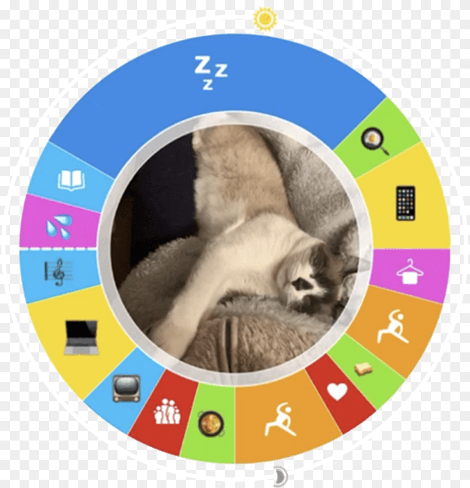 Owavescom Circle, Urban, Animal, Cat, Mammal Png