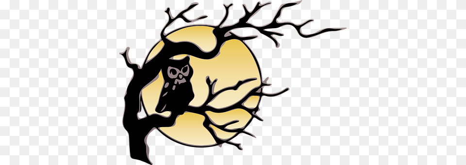 Owl Person Png