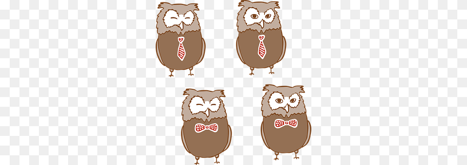 Owl Accessories, Formal Wear, Tie, Animal Free Png Download