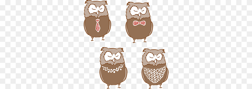Owl Food, Nut, Plant, Produce Free Transparent Png