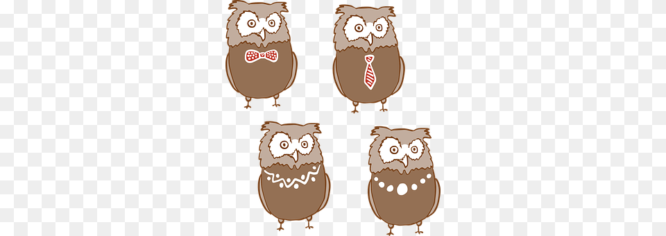 Owl Animal, Bird Free Transparent Png