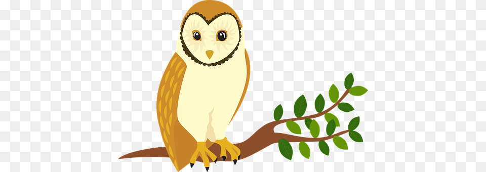 Owl Animal, Bird Png