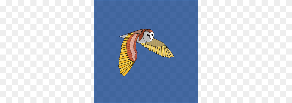 Owl Animal, Bird, Flying, Cartoon Free Png