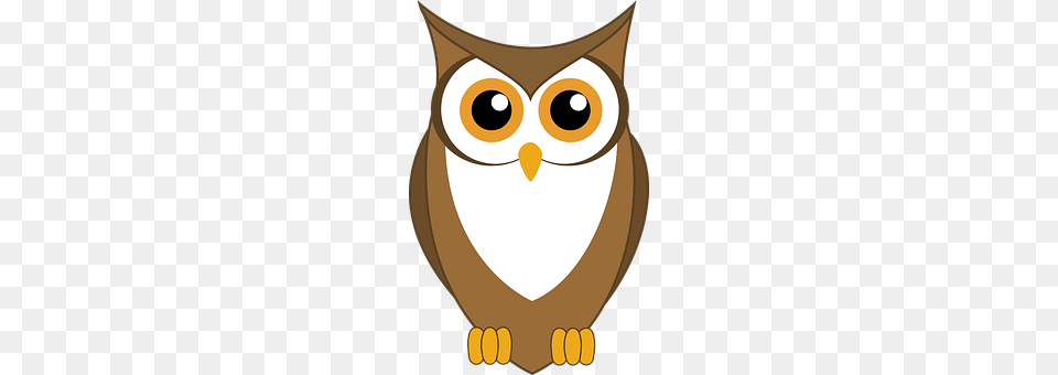 Owl Animal, Bird Png