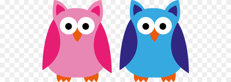 Owl Animal, Bear, Mammal, Wildlife Free Transparent Png