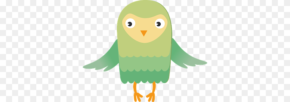 Owl Animal, Beak, Bird, Parakeet Free Transparent Png