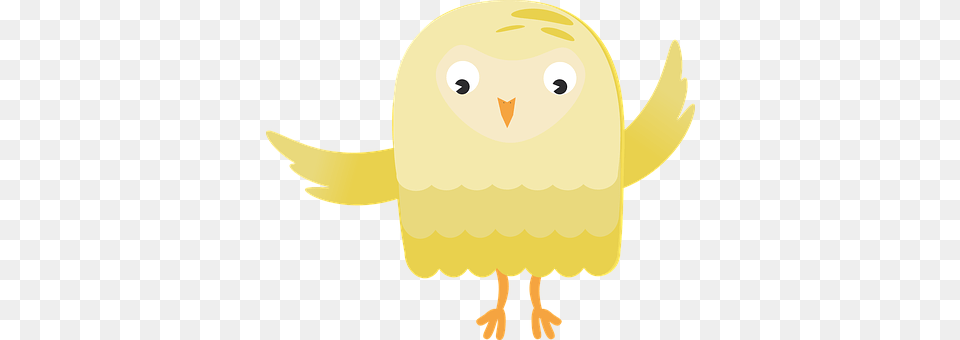 Owl Animal, Bird Free Png Download