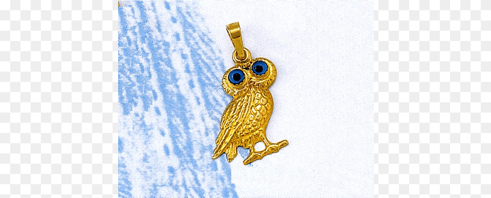 Owl, Accessories, Gold, Animal, Insect Free Png