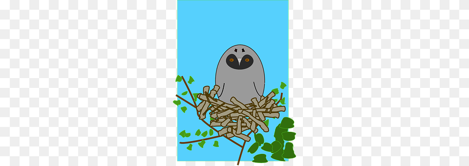 Owl Nest, Person Png