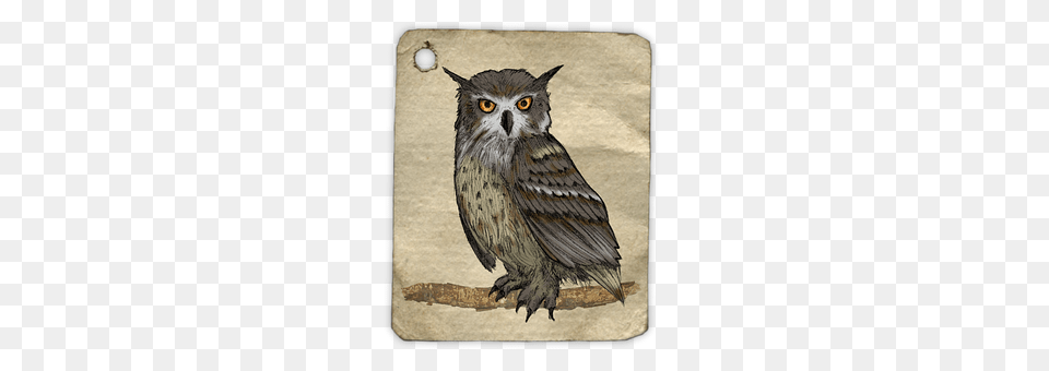 Owl Animal, Bird, Art Free Transparent Png