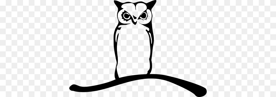 Owl Gray Free Png