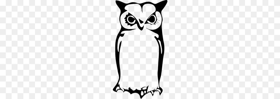 Owl Gray Png