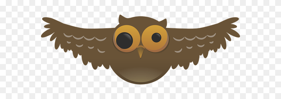 Owl Animal, Bird, Beak, Fish Free Png Download