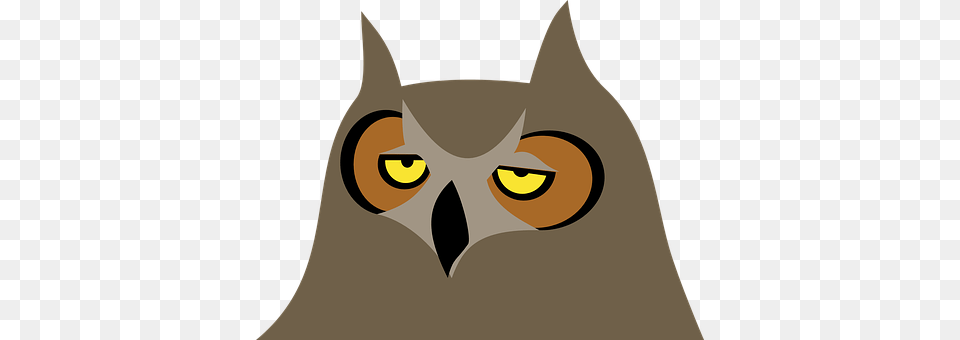 Owl Animal, Cat, Mammal, Pet Free Transparent Png