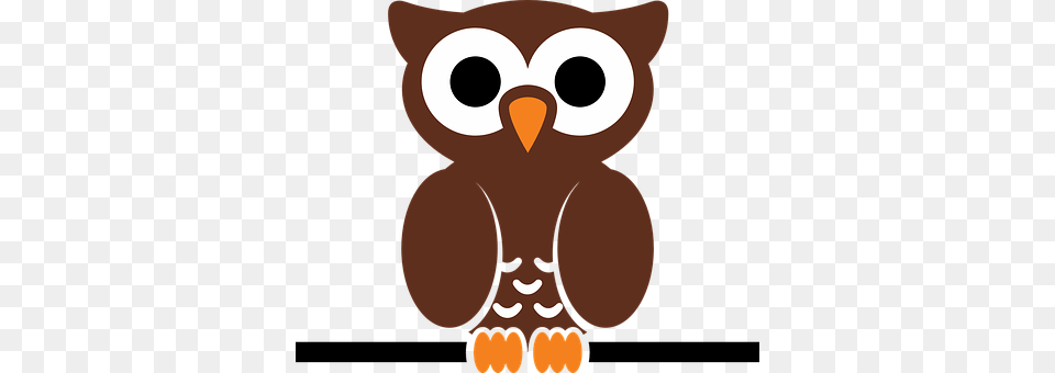 Owl Animal, Bear, Mammal, Wildlife Png