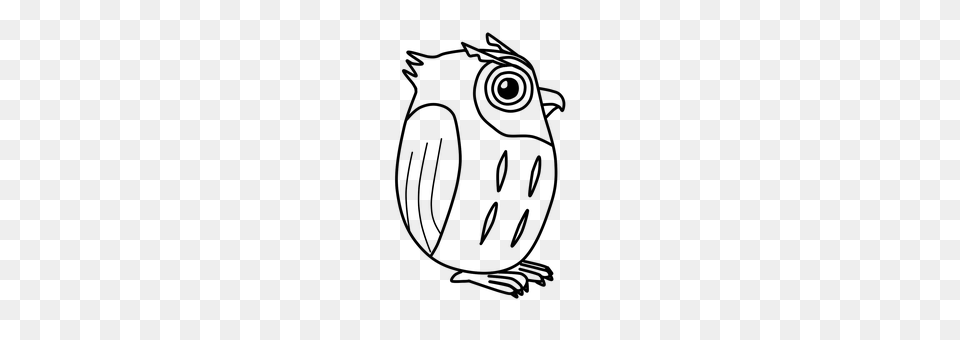 Owl Gray Png Image